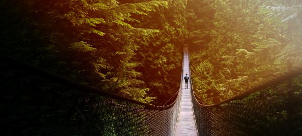 rope bridge